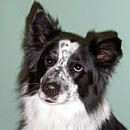 Rodeo was adopted in March, 2005